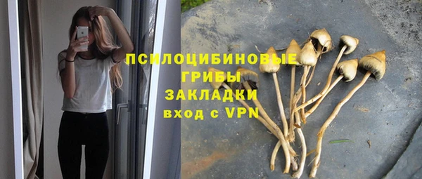 амф Алзамай